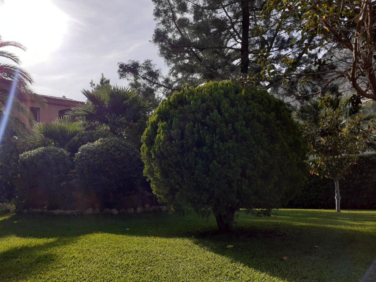 Can Mascarat Altea Kültér fotó